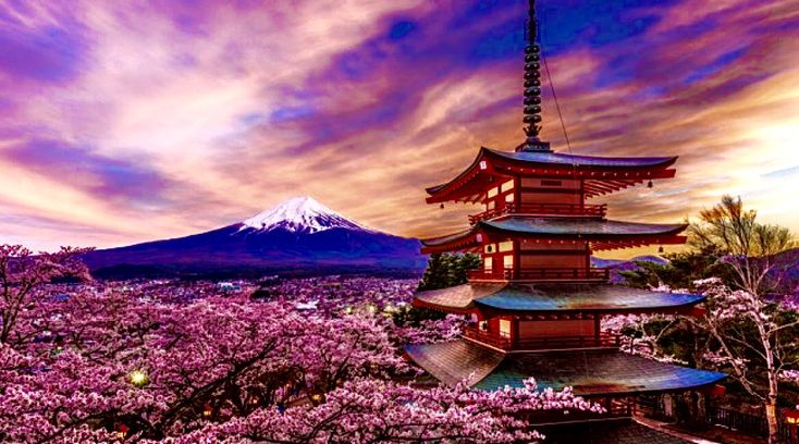 تور 10 روزه ژاپن